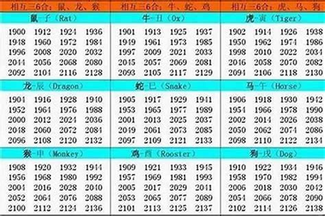 1994年屬什麼生肖|1994年1月出生属什么生肖 属狗还是属鸡